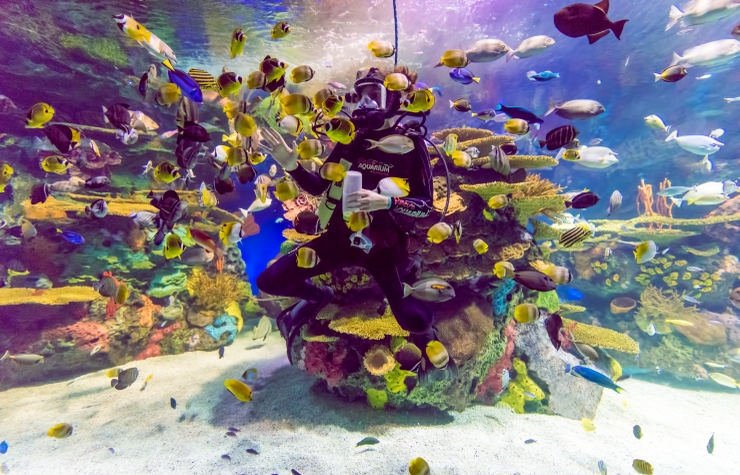 Ripley's Aquarium