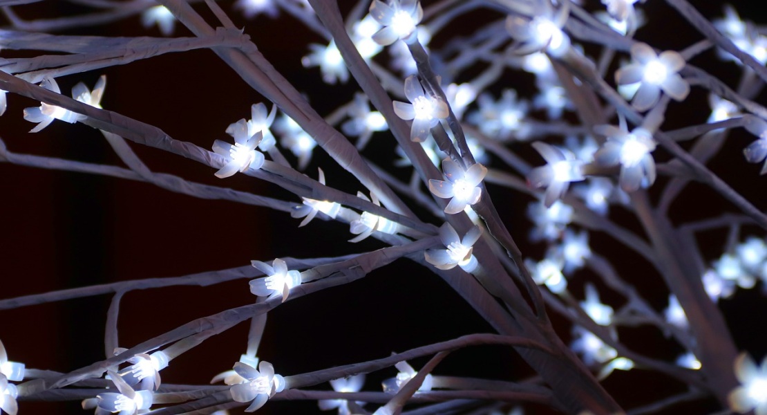 Your Green Home: Installing LED Landscape Lighting