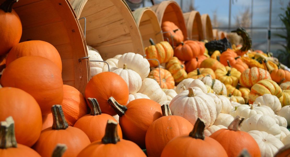 Sneak Preview: Preparing for the 2013 Markham Fair