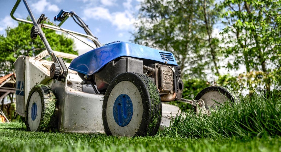 Gardening Goes Social in York Region