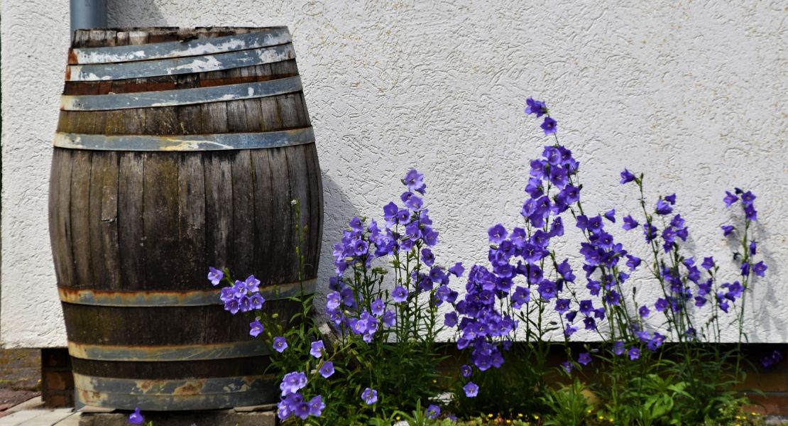 Your Green Home: Installing a Rain Barrel
