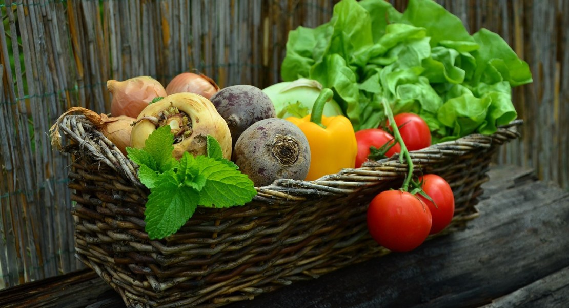 Urban Farming Takes Root in Erin Mills