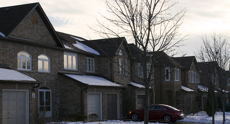 Five Tips for a Great Winter Showing