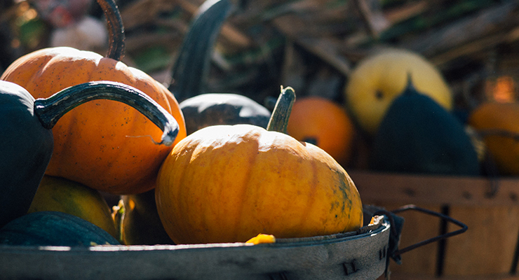 Halloween Fun in Mississauga: Three Picks for 2016