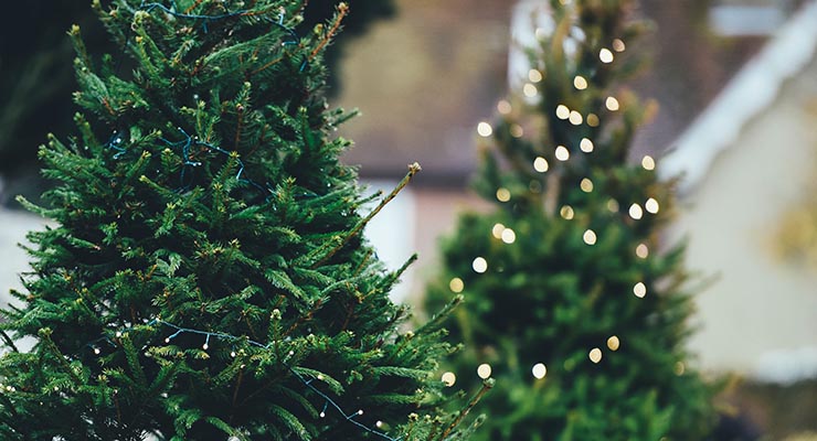 Christmas in Mississauga: Three Family Events for 2016
