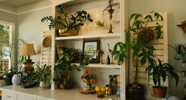 Affordable Ways to Furnish Your Home