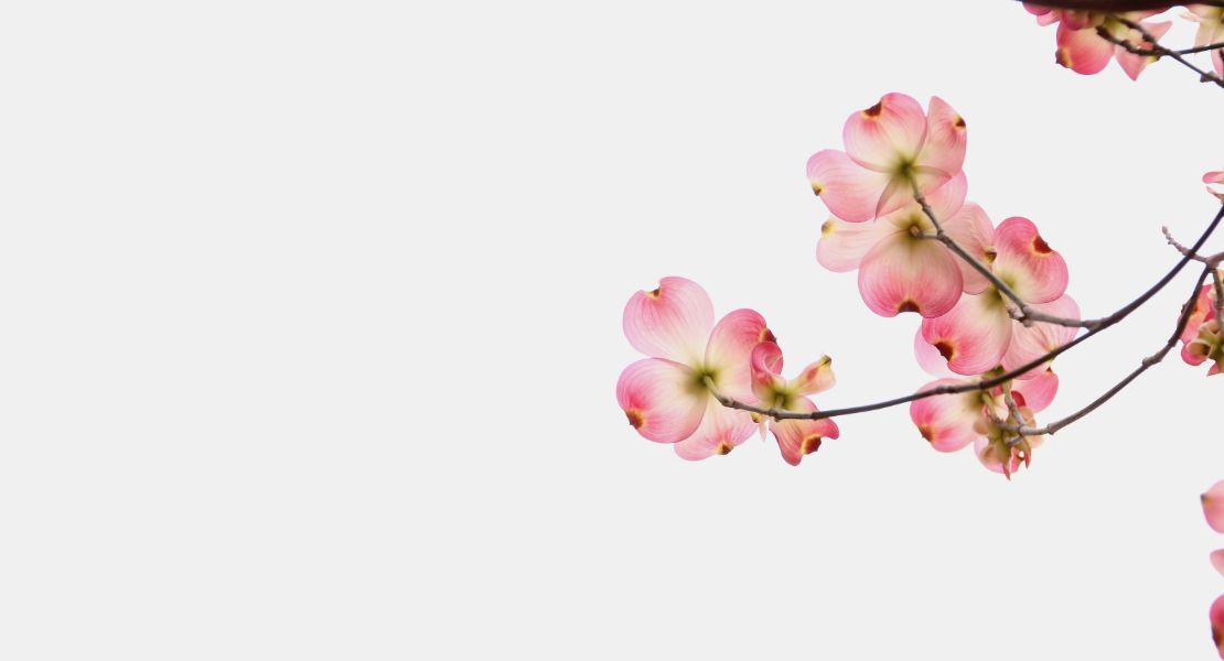 Spring Cleaning Tips