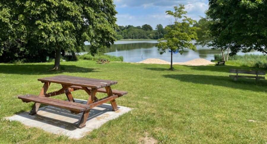 Parks You Should Visit in the Greater Toronto Area 