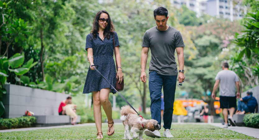 5 Best Dog Parks & Walking Trails in the Toronto Area